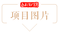 项目图片
